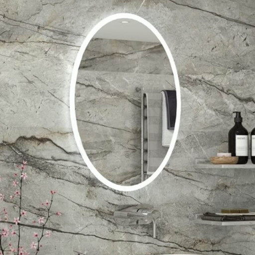 Rak Ovale LED Illuminated Portrait Mirror