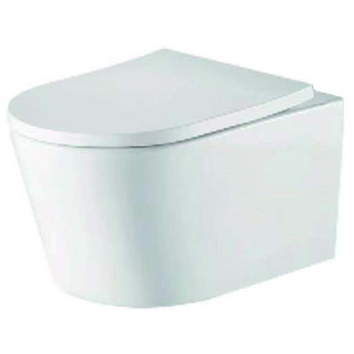 Ferrara Plus Wall Hung Rimless BTW D Shape Pan Seat & Fittings