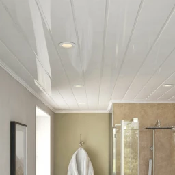 Ceiling Cladding